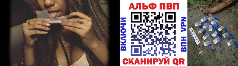 Альфа ПВП СК  Заринск 