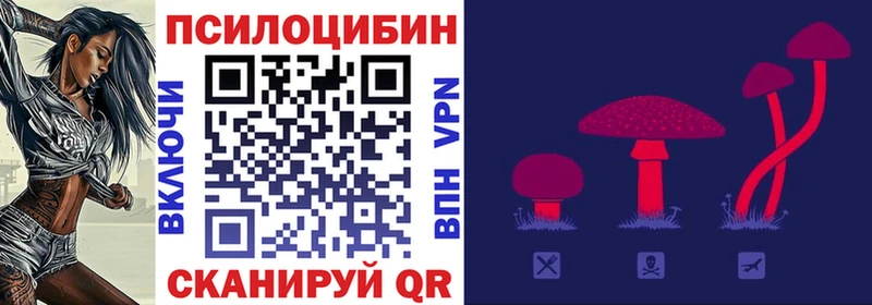 Галлюциногенные грибы Cubensis  купить   Заринск 